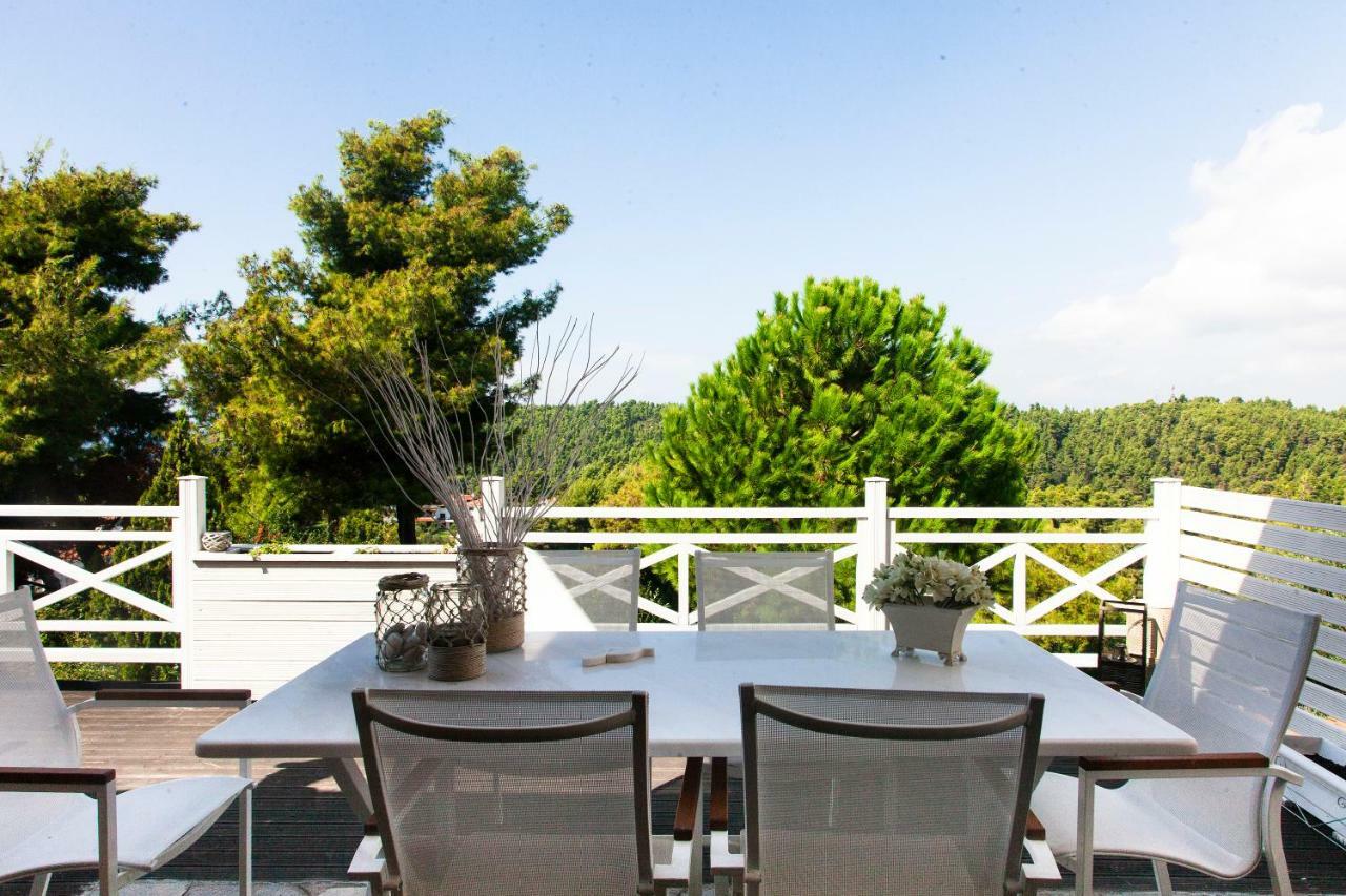 Elani Beautiful Villa Siviri Exteriér fotografie