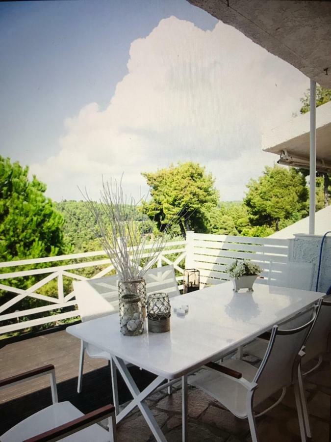 Elani Beautiful Villa Siviri Exteriér fotografie