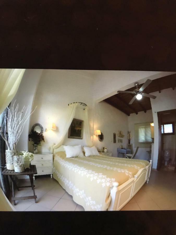 Elani Beautiful Villa Siviri Exteriér fotografie